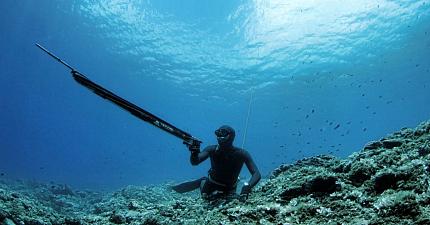 Обновлённые модели гидрокостюмов Salvimar и Cressi Sub для подводной охоты